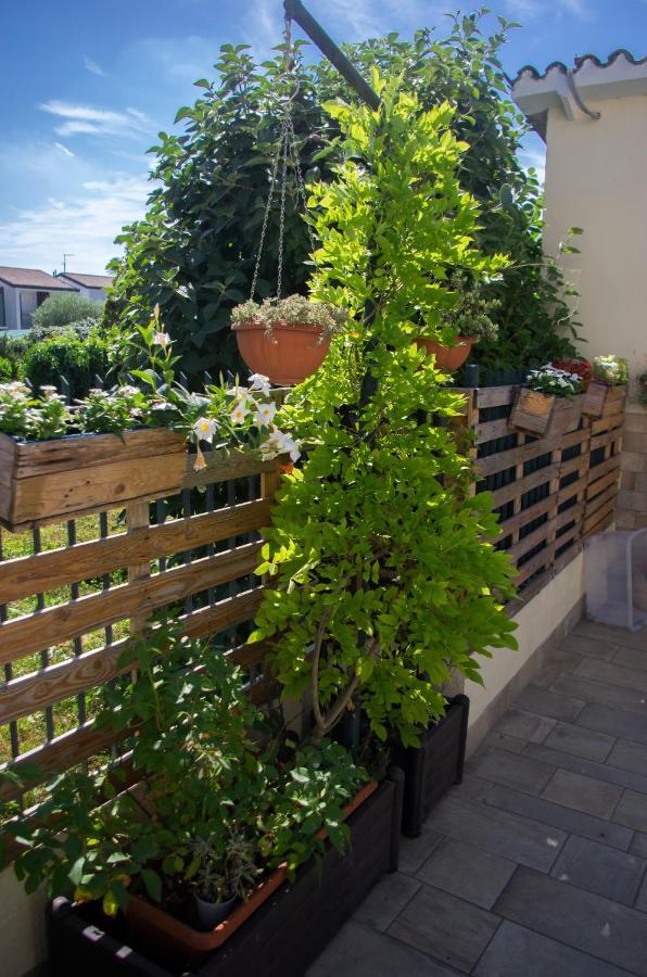 B&B Dai Carari Spinea Εξωτερικό φωτογραφία